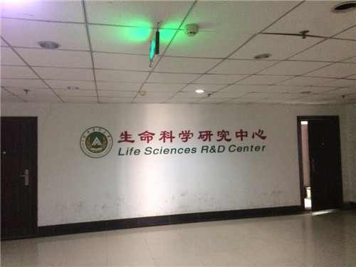 鄭州標(biāo)準(zhǔn)氣體 鄭州標(biāo)準(zhǔn)氣體